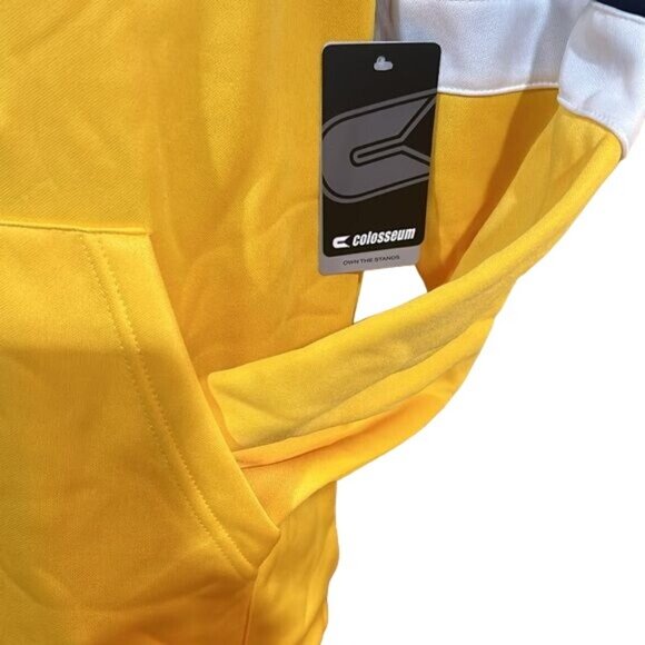 Michigan Wolverines Men’s Large Performance Hoodie Sweatshirt Colosseum New - Picture 5 of 8